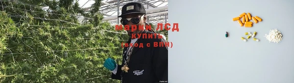 прущие крисы Верея