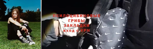 прущие крисы Верея