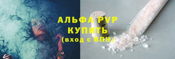 ПСИЛОЦИБИНОВЫЕ ГРИБЫ Бородино