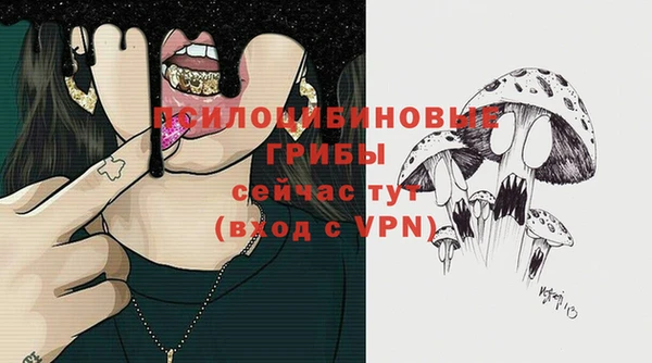 прущие крисы Верея