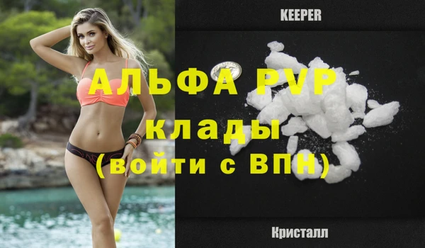 прущие крисы Верея