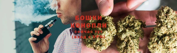 прущие крисы Верея