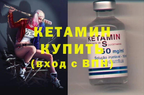 индика Козельск