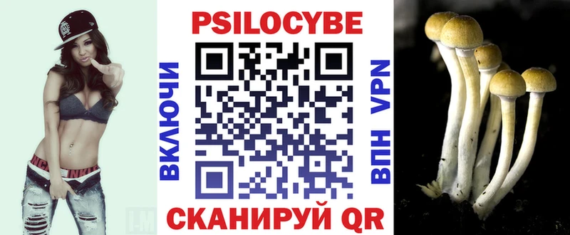 где найти   Бирск  Галлюциногенные грибы Cubensis 